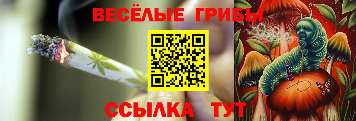 Семёнов  Псилоцибиновые грибы мицелий  Вход с VPN 